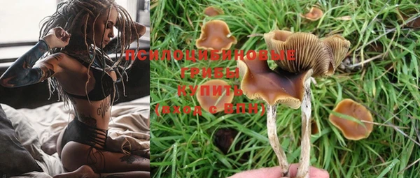 шишки Алзамай