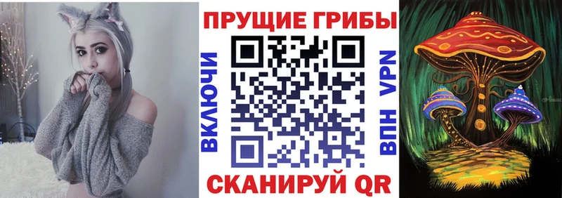 Галлюциногенные грибы Psilocybe  Алдан 
